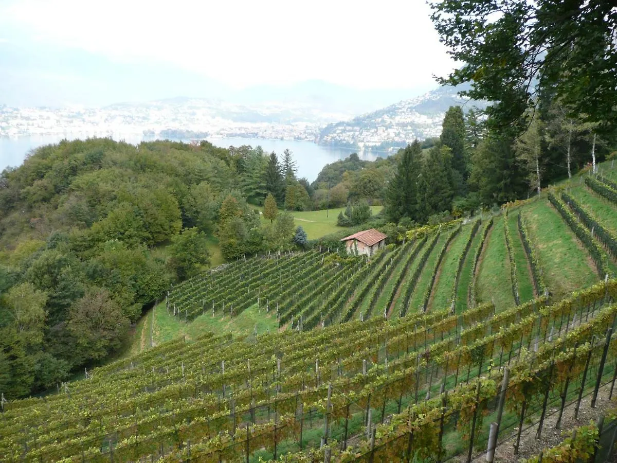 Historical Villa Gina With Magic Lake View Dizzasco