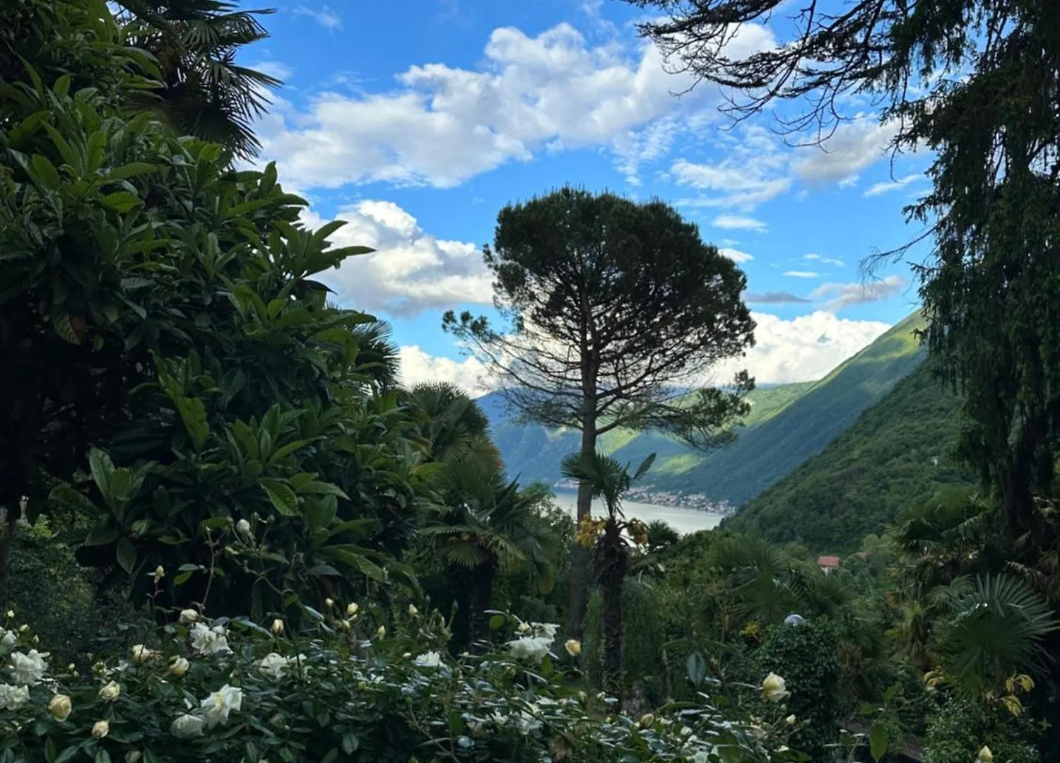 Historical Villa Gina With Magic Lake View Dizzasco Itálie